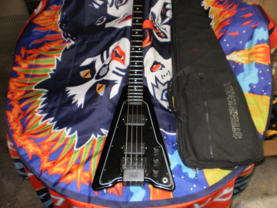 XP-2 Steinberger Flats.JPG