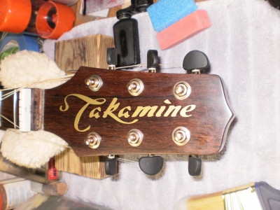 Takamine Emblem V.JPG