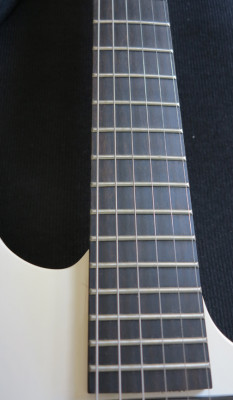 PDF60 Fretboard.jpg