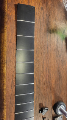 Parker Fretboard.jpg