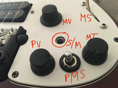 Pick guard and “stereo/mono” push button toggle switch